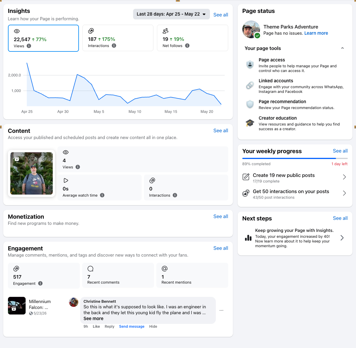 Facebook Page insights showing organic growth over 28 days.